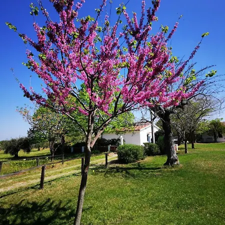 Casa Tonino Pisticci
